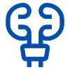 urology